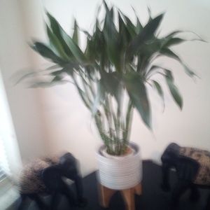 Meet your Posher, Lois